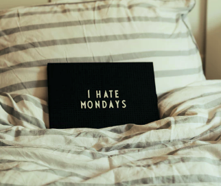 Into The Bath (@bathinto) on Twitter photo Happy (No hate) Monday <a href="/BathInto/">Into The Bath</a> #MONDAY #mondaymotivation #mondaymood #mondays #mondaymorning #mondayblues #MondayVibes #mondayfunday #MondayNight #mondaynightfootball #MondayInspiration #MondayMiles #mondayfeels #mondaynightraw #mondaymantra #mondaymadness #mondayworkout Happy (No hate) Monday <a href="/BathInto/">Into The Bath</a> #MONDAY #mondaymotivation #mondaymood #mondays #mondaymorning #mondayblues #MondayVibes #mondayfunday #MondayNight #mondaynightfootball #MondayInspiration #MondayMiles #mondayfeels #mondaynightraw #mondaymantra #mondaymadness #mondayworkout