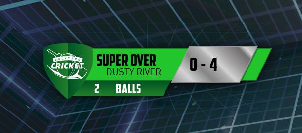 Backyard Cricket tweet media