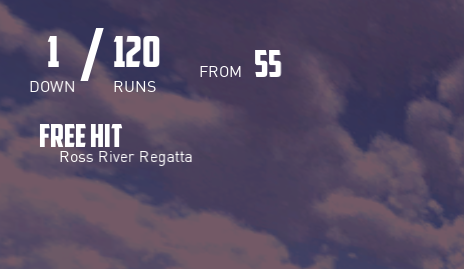 Backyard Cricket tweet media