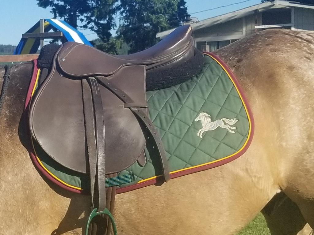 Jessie_Hallie's tweet photo. Even after all these years, I'm still obsessed with my English pad. #HorseLord #RepresentingtheRohirrim #ForRohan
@BrophyJed @KarlUrban
#ponyoftheamericas https://t.co/kquUkp4Cko