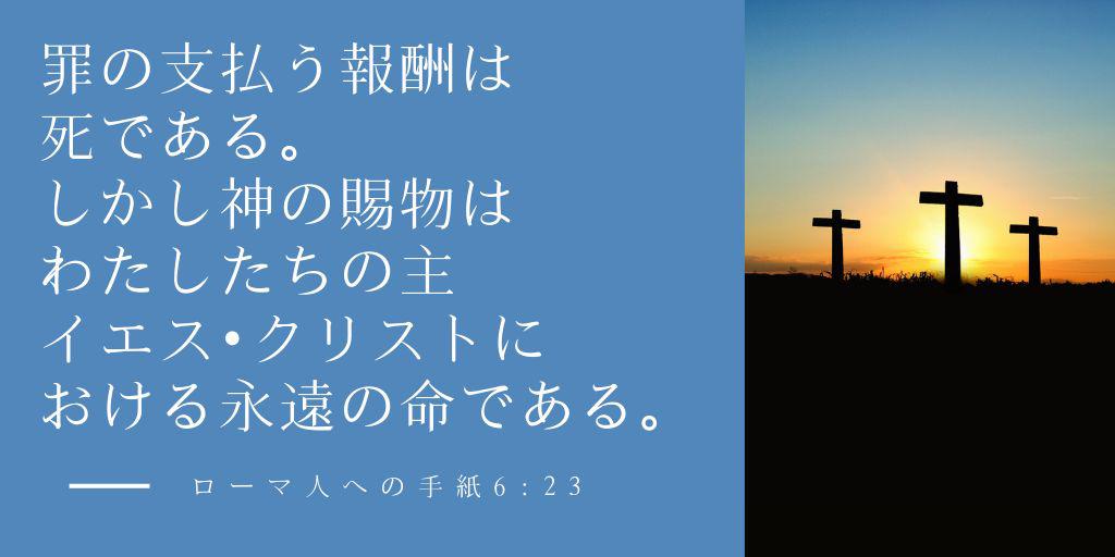 saranoyume25 tweet picture