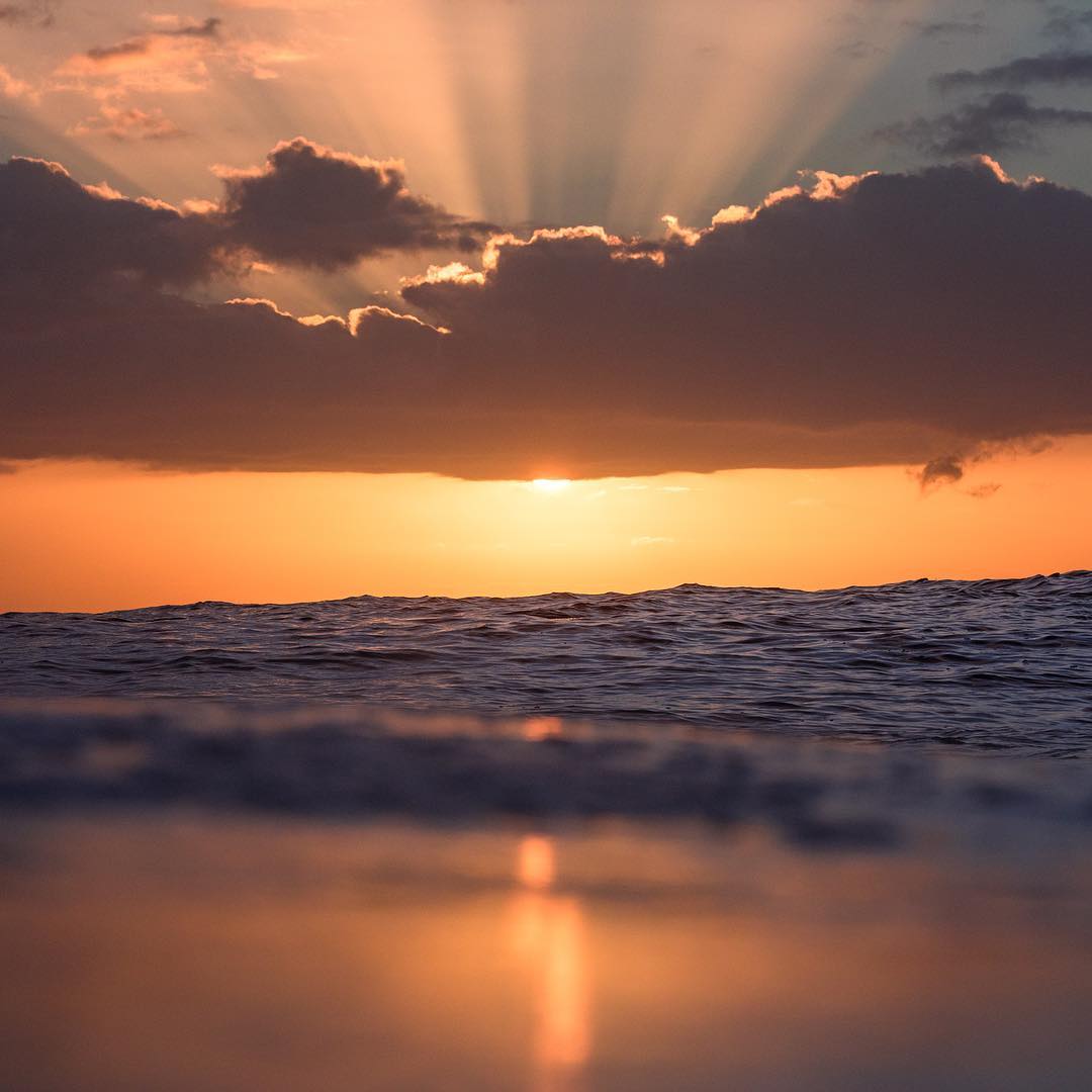 ___LoverDose___'s tweet photo. © Warren Keelan
📷 @WarrenKeelan

#art #artist #beauty #details #fineart #spotlightonartists #art_spotlight #artphotography #contemporaryart #artlover #artgallery https://t.co/7WJGFHnD1j