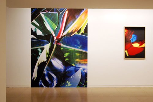 FranceFineArt's tweet photo. #expo Moisson rouge de Marguerite Bornhauser @mep_paris Maison Européenne de la Photographie #ITW #MargueriteBornhauser 🎧 à écouter @FranceFineArt https://t.co/stLr34XJg3 https://t.co/JKtZyMFHfX