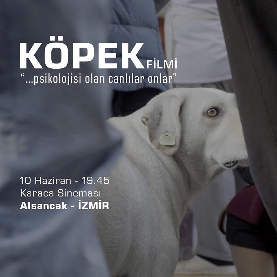 İzmirliler! 🤗 Rol aldığımız belgesel bugün Karaca Sineması’nda gösterime giriyor. İzlemek isteyenlere duyrulur🙏