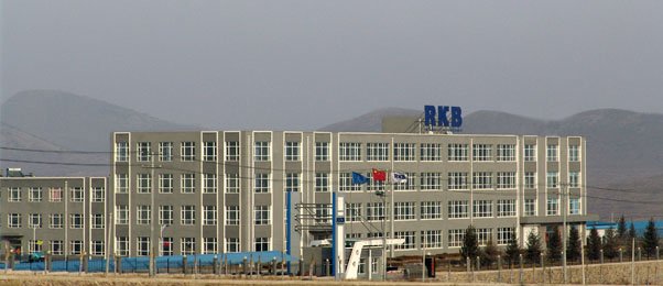 RKBbearings's tweet photo. RKB's production is primarily focused on 3 industrial product segments:
• T1: miniature and small size precision ball bearings;
• T2: standardized rolling bearings;
• T3: technological bearings and Application Optimized Bearings.

#rkbgroup #kugellager #Подшипник #軸受 https://t.co/jztelJ9Pv1