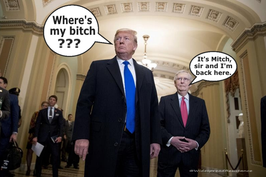 resinhead's tweet photo. Two bags of horseshit. #POTUS #Trump #MitchMcConnell #WidespreadResistance #ImpeachTheMF #Trumpgrets https://t.co/pcA0GRzEFv