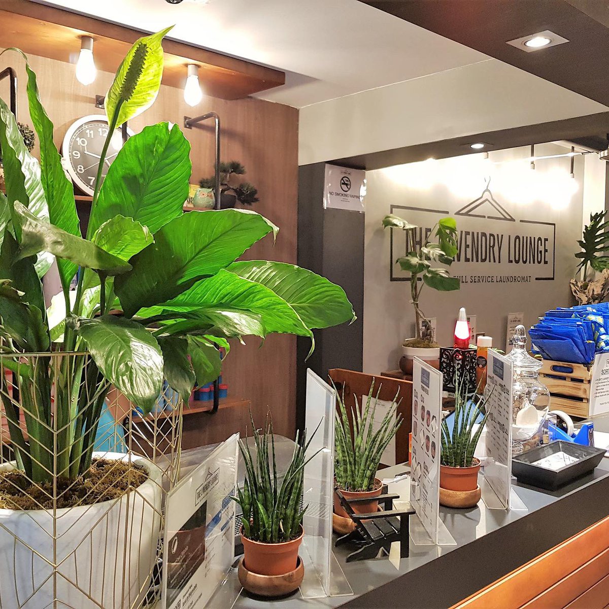 LavendryLounge's tweet photo. • Open 24/7 
• Filtered Laundry Water, ensuring Laundry Water is Clean and Efficient in Washing
• Nature Preservation by using Liquid Detergents and Fabric Conditioners refilled in our Reusable Capsules
• Airconditioned, Comfortable and Stylish Shop

https://t.co/TynuSMD2fk https://t.co/T9XN7CSN7O