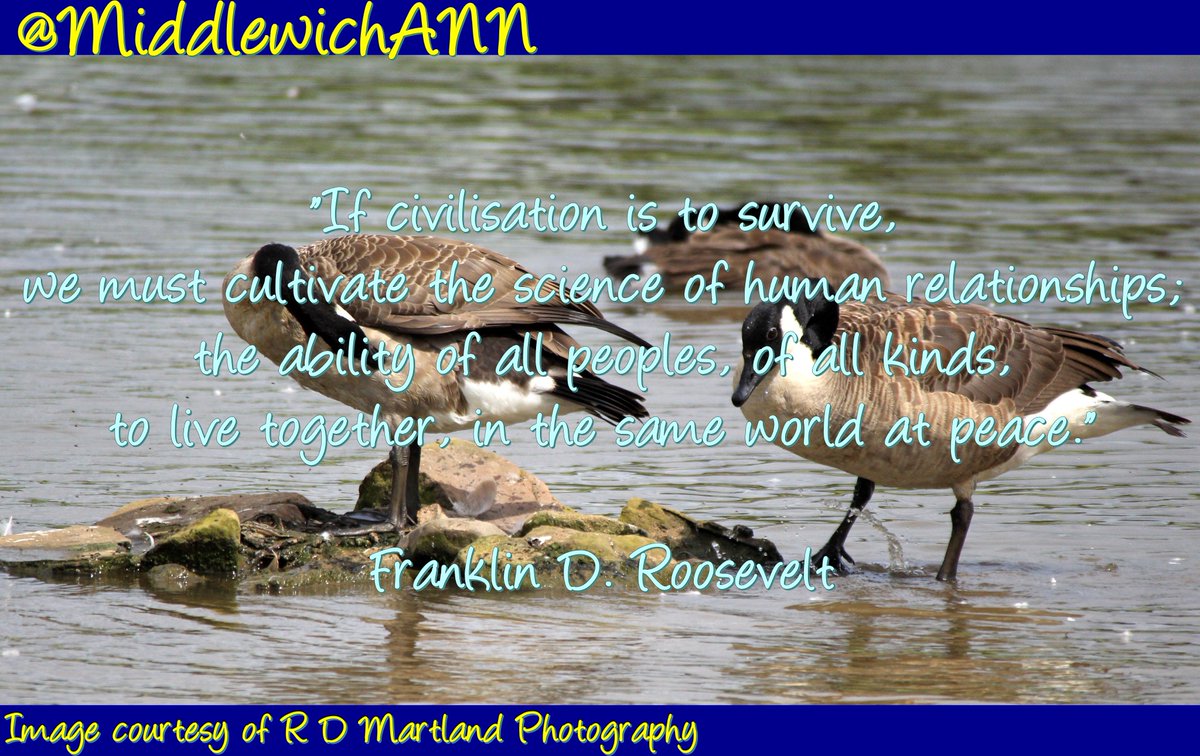 MiddlewichANN's tweet photo. #MondayMotivation
It's all about the support in place
#MiddlewichANN #CheshireANN #MiddlewichAdditionalNeedsNetwork #Support #Cheshire #Middlewich #Northwich #Winsford #Crewe #Autism #ADHD #Fibromyalgia #Anxiety #Parents #Children #Family #Friends #DailyQuote #Empower #Inspire https://t.co/k5fSf8nJz0