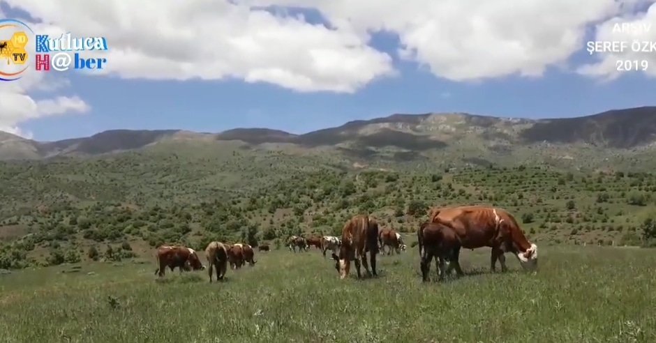 youtu.be/PIQqZWJwWGw  BU VİDEOYU VE DAHASINI İZLEMEK İÇİN LİNKE TIKLAYINIZ.
KUTLUCA  H@BER YOUTUBE KANALIMIZA ABONE OLARAK KUTLUCA,NIN DİJİTAL HAFIZASINA ULAŞABİLİRSİNİZ.

MUHİDDİN ÖZPINAR VE SADIK AKBULUT İLE KÖYDE YAŞAMA DAİR ROPORTAJ