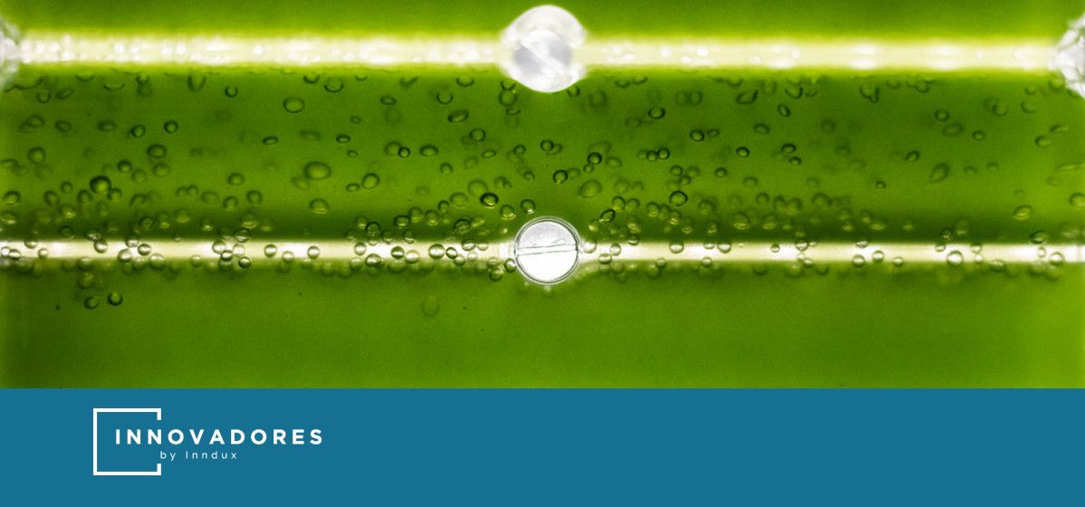 caballeroisabel's tweet photo. Los científicos del proyecto #Cyclag han logrado producir #biodiesel del aceite obtenido de #microalgas cultivadas. Permitirá elaborar biocombustible a un precio de 3,3 €/l 👉 https://t.co/fxKY8XmRDI
Con @neikertecnalia @CENER_Energia @AIN_Navarra, entre otros https://t.co/IOdAmHIXHV