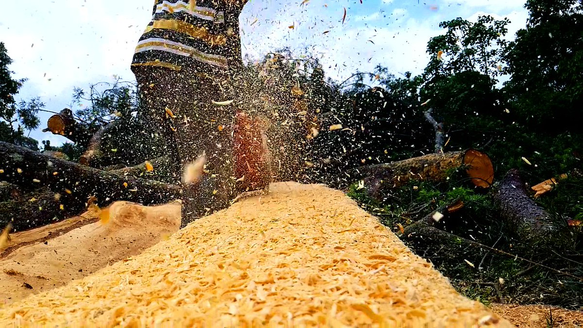 tonnysmallz's tweet photo. I tried to take this shot but i saw-dust.
#photography #canonphotography #sonyalpha #photographer #s8 galaxys8 #phonephotography #videography #creativevideography #killershots #ishootfilm #director #raw #cinematography #cinematography #a7sii #travel #directorofphotography https://t.co/EsGK4dGTJF