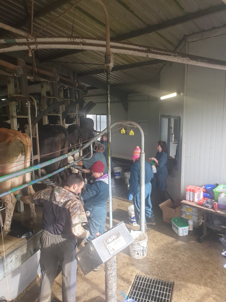 TimmyMoo's tweet photo. When you have good friends  and great staff to help dry off makes life easy. @MarcLloydJones  @eoin_mahony. https://t.co/iLKluKOFOp