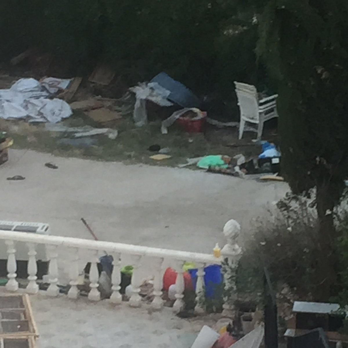 dibbdibb tweet media