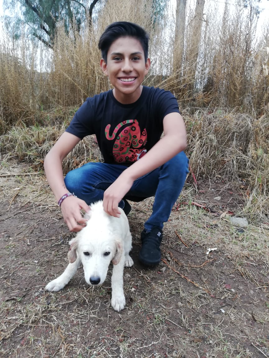 F/A
No busco RT's.
Si tienen algún contacto, me lo pueden pasar por este tweet o MD?; Pero si no lo tienes tú RT me ayuda bro.
Gracias 🤠♥️.

**Foto con mi perro para que me dé buena suerte gg**