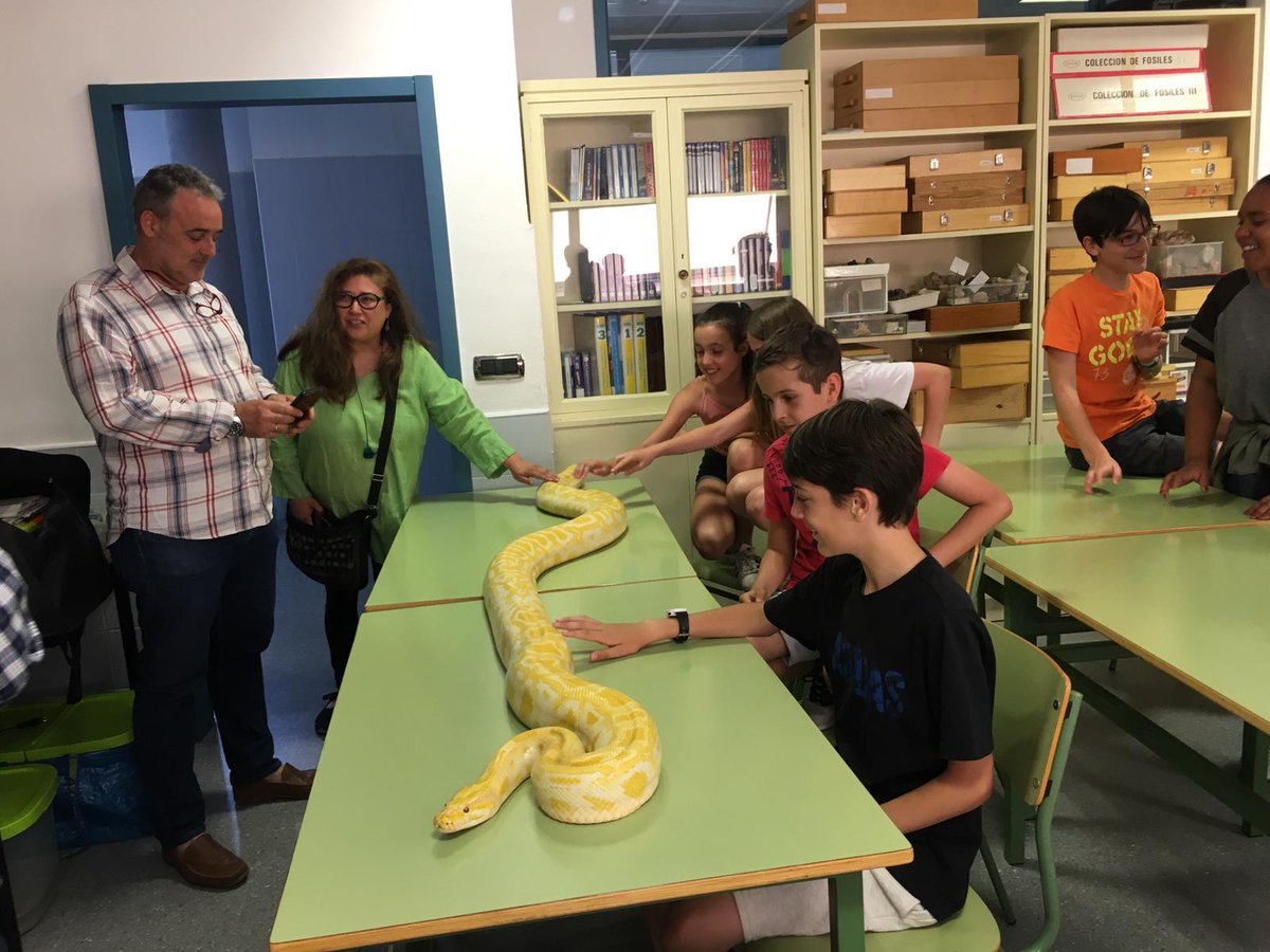 IesGerardoDiego's tweet photo. Hoy nuestros alumnos de 1° ESO han disfrutado con una actividad de ampliación: taller de reptiles, organizado por el departamento de Geología y Biología. #STEMadrid #Cientificate https://t.co/9liUXFJBgV