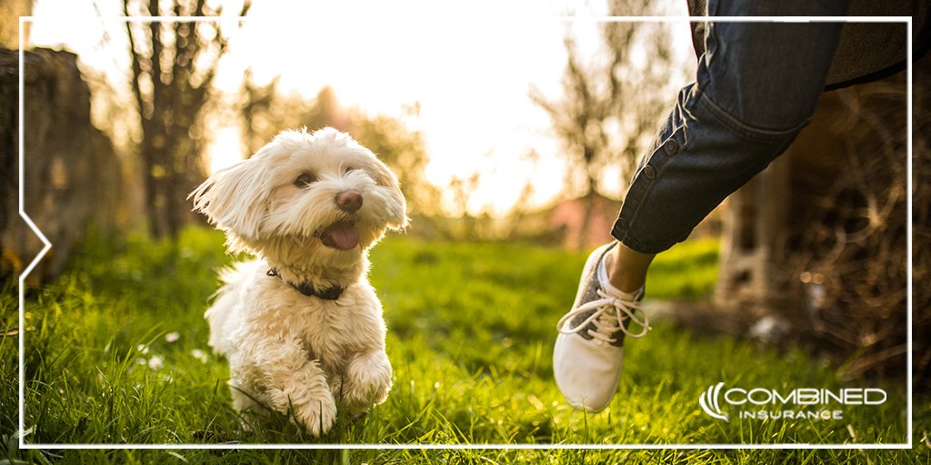 directedheatnow's tweet photo. Planning to explore a wooded or grassy area this weekend? Be sure to protect yourself from ticks. https://t.co/gErB208Tzw #LymeDiseaseAwareness #CombinedCareTips https://t.co/7csssAZclP