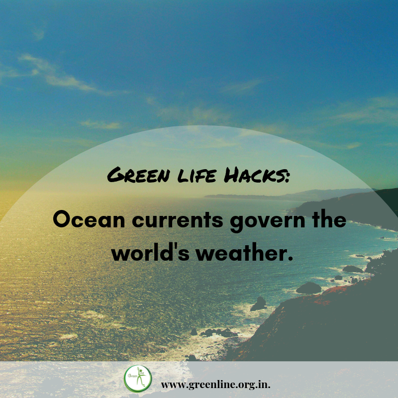 GreenLineMumbai's tweet photo. Our Oceans do much more than we give them credit for!⠀⠀⠀⠀
#goearth #beatairpollution #nomore #smallchanges #itainteasy #theyearofgreen #greenhacks #consciouschoices #beatpollution #ecofriendly #lowerfootprint #green #greenlifestyle #greenline #codoil #dontsuffocateourfuture https://t.co/QXmTnyfI7Q
