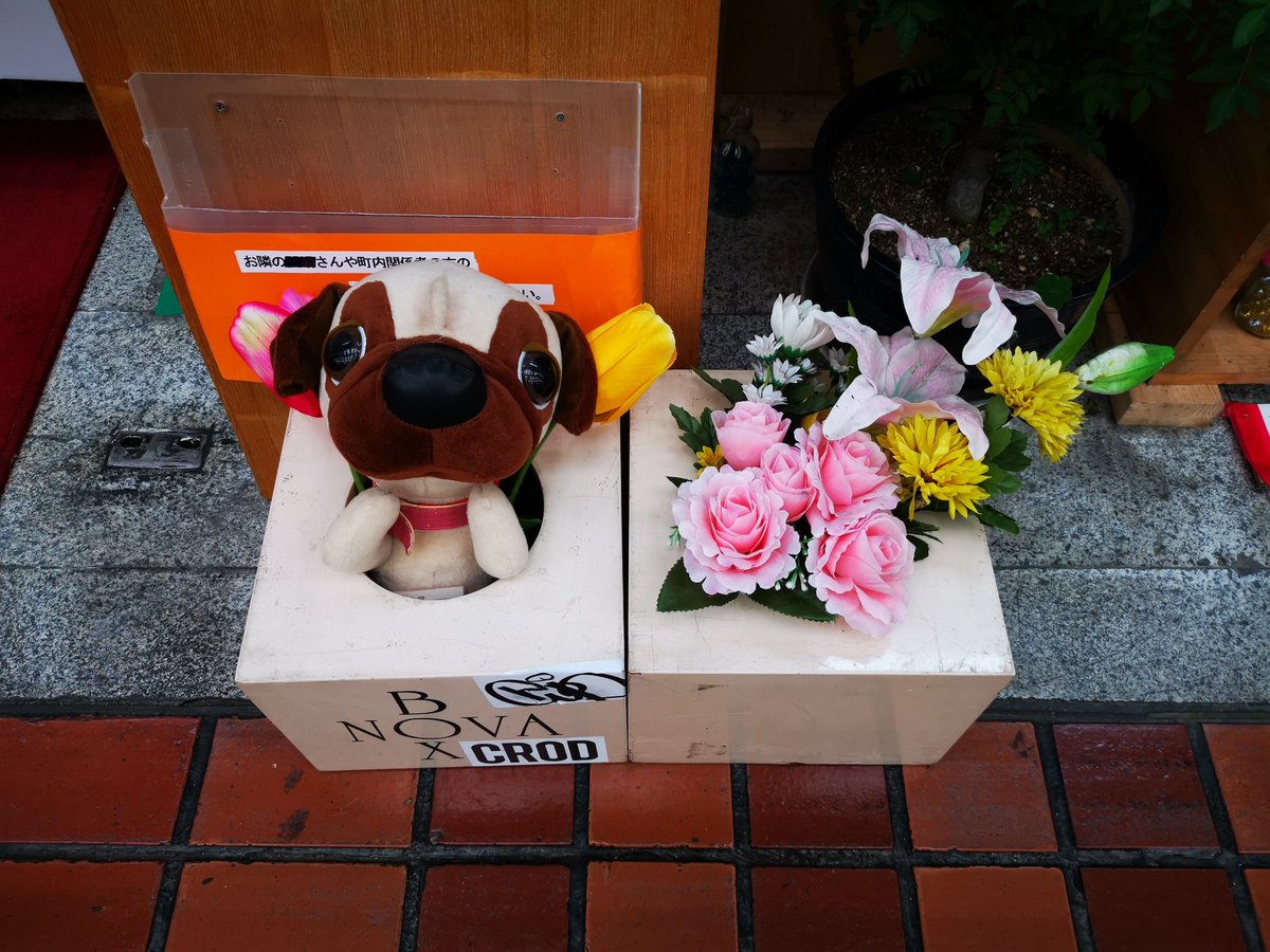 惹起一休 犬が監視されてる ってのは ぬいぐるみの犬のことなんだろうか おまわりさんへのメッセージもあり お供え物を持っていかれるらしい