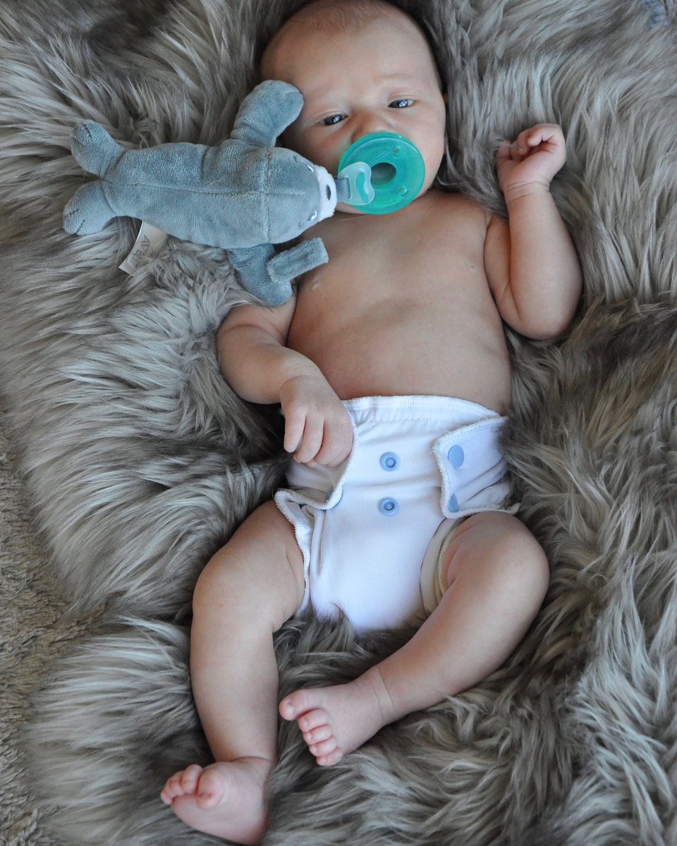 CourtneySnow222's tweet photo. Someone got their first sookie today 😍🌙💕💫

#babyboy #growing #wubbanub https://t.co/jI0nYZGz49