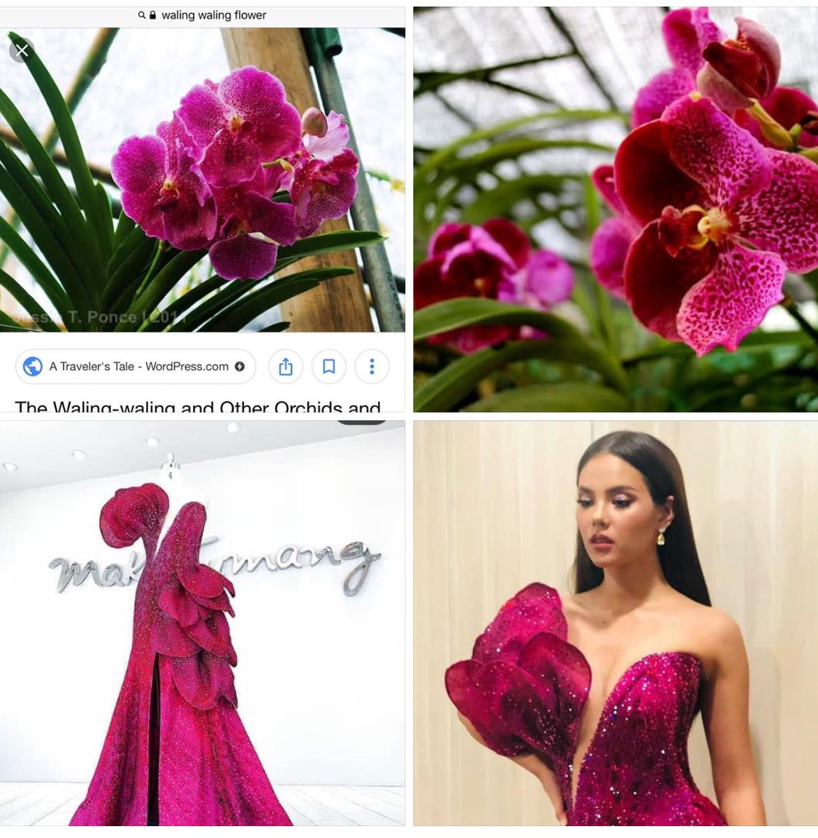 So this is the Waling waling (Orchid) inspired gown of Catriona Gray. 🌺 #MissUniverse2018 #BbPilipinas2019