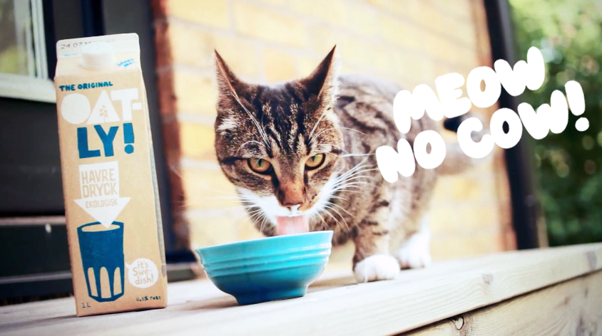 Photos of cats are usually popular on social media, so we figure it will be really hard for people to resist retweeting this photo of a cat drinking oat drink with his own adorable cat catchphrase and everything, but we'll see.