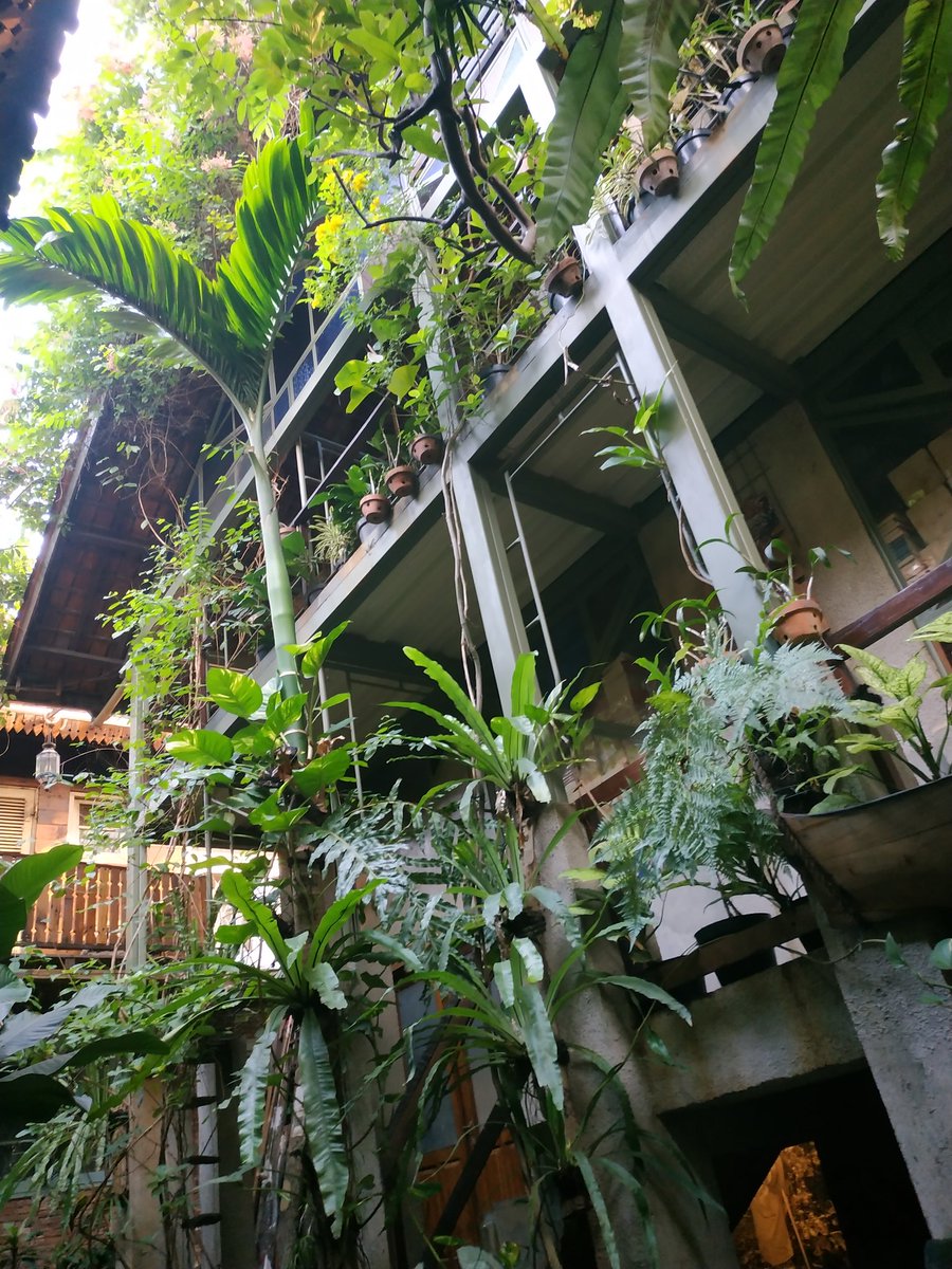 Sore di Komunitas Bambu. Baru mimin tinggal seminggu lebih sudah tambah gondrong pepohonannya