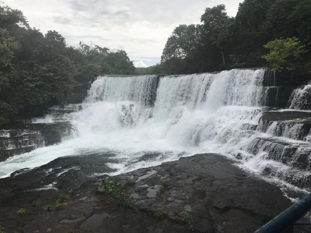 Nature is beautiful! Let’s preserve it