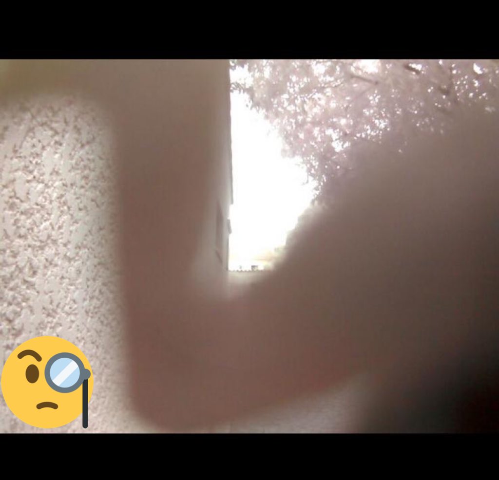 Qui bloque la vue de la caméra de Hi) notre #interphone connecté ? 🐒🐆🐖🐴? Réponse ce soir.