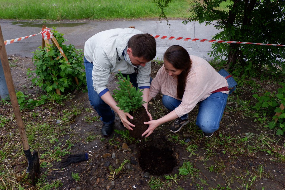 DASI_27's tweet photo. Поучаствовали в озеленении территории краевого бизнес инкубатора 🌲 https://t.co/h7jn7Aejro