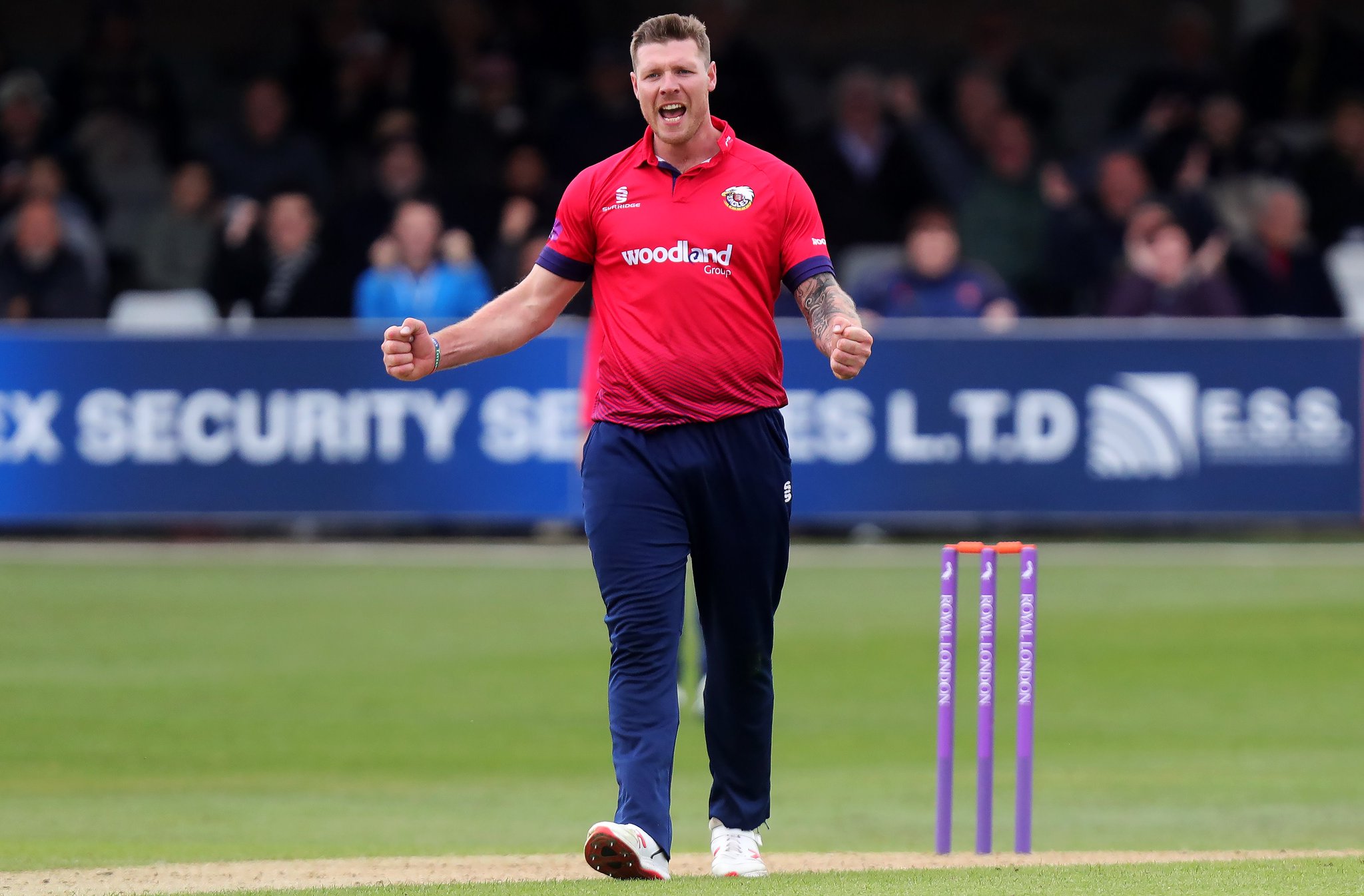 Essex Cricket on Twitter "Essex allrounder MattColes_90 has joined