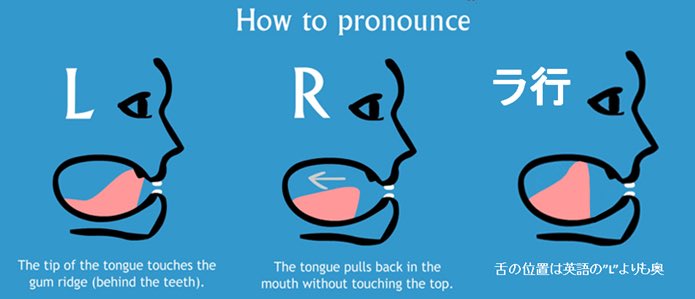 こあたん こあらの学校 L と R と ラ行 の違い 英語の L と R の発音の違いを説明する画像はたくさんあるけど 日本語の ラ行 も並べた方が分かりやすいので 作ってみました 舌の位置がポイントで L 上の前歯の付け根に当てる R
