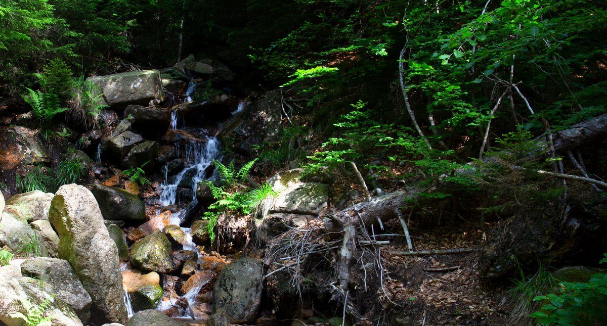 thdirks's tweet photo. Miniwasserfall #ilsetal https://t.co/DwZwsm5A4y