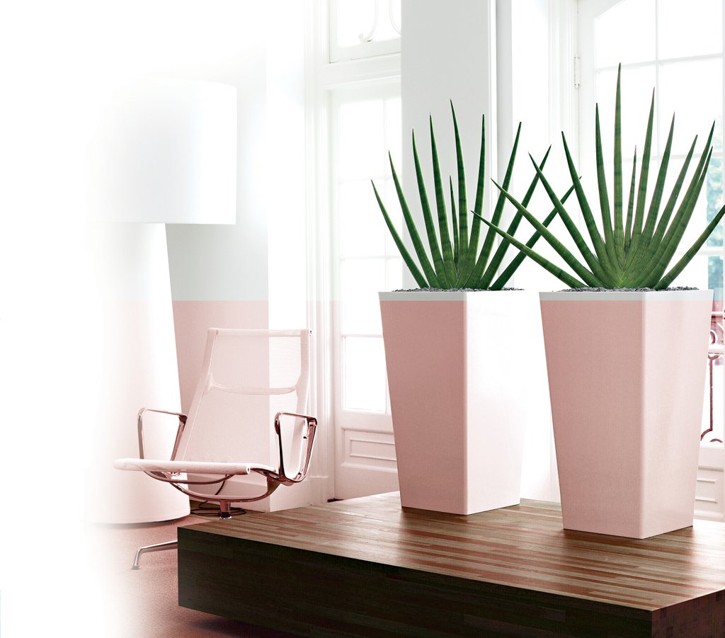 PRETTY IN PINK.🌸#pink #feminine #flower #garden #plant #gardening #plants #botanical #interiordecor #interiorstyling #interiors #furniture #homedecor #decorating #instahome #interior #instadesign #instadecor #architect #arquitetura #archidaily #architecturelovers #archilovers