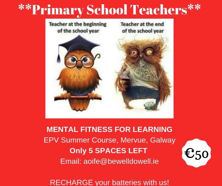 BeWellDoWellx's tweet photo. ONLY 5 places left on our #Teacher #EPVSummerCourse 1st - 5th July 2019. Please share with any #primaryteachers in #Galway who might be interested. TIA @PDST_Hwellbeing https://t.co/KPHddfZInR