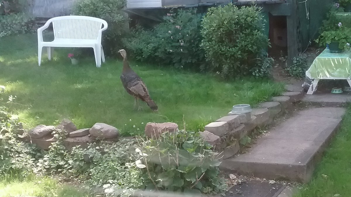 Kimmature's tweet image. #WhyIWork ....
Birdseed. 😁

@TheMotels.  @MavrocksGirl