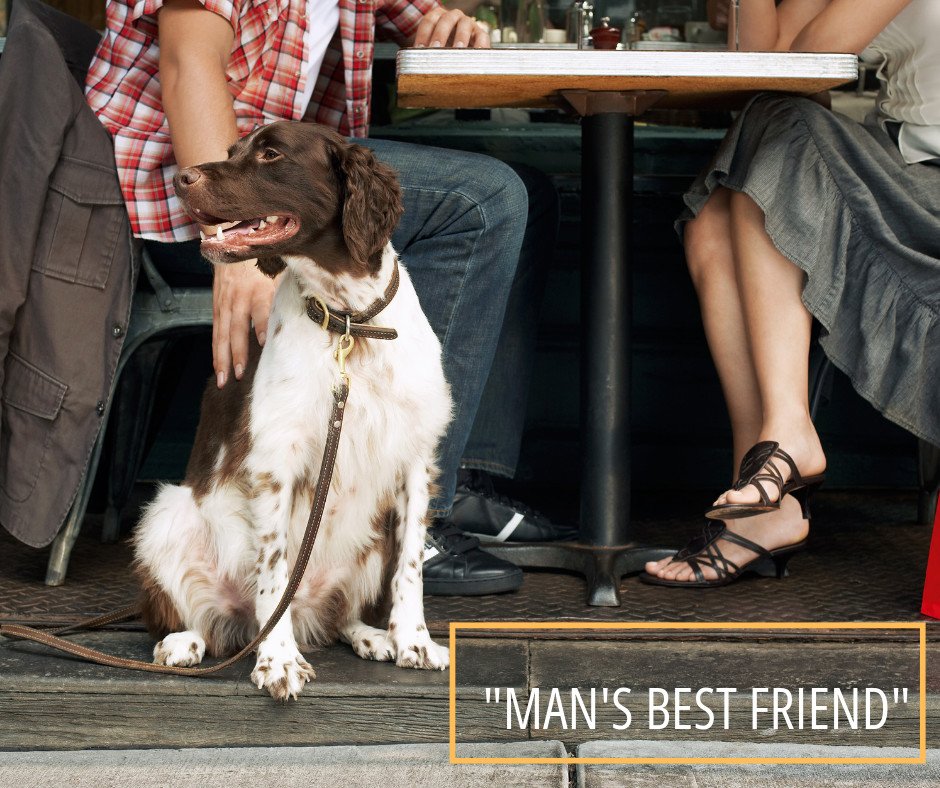 We regularly hear the phrase "dogs are man's best friend", and there's no doubt - they love us so much, and they are always here when we need them. Every time we get back home, they get so insanely happy 🐕🐕
Check out an interesting article on the topic 👉bit.ly/2ZhgOFE