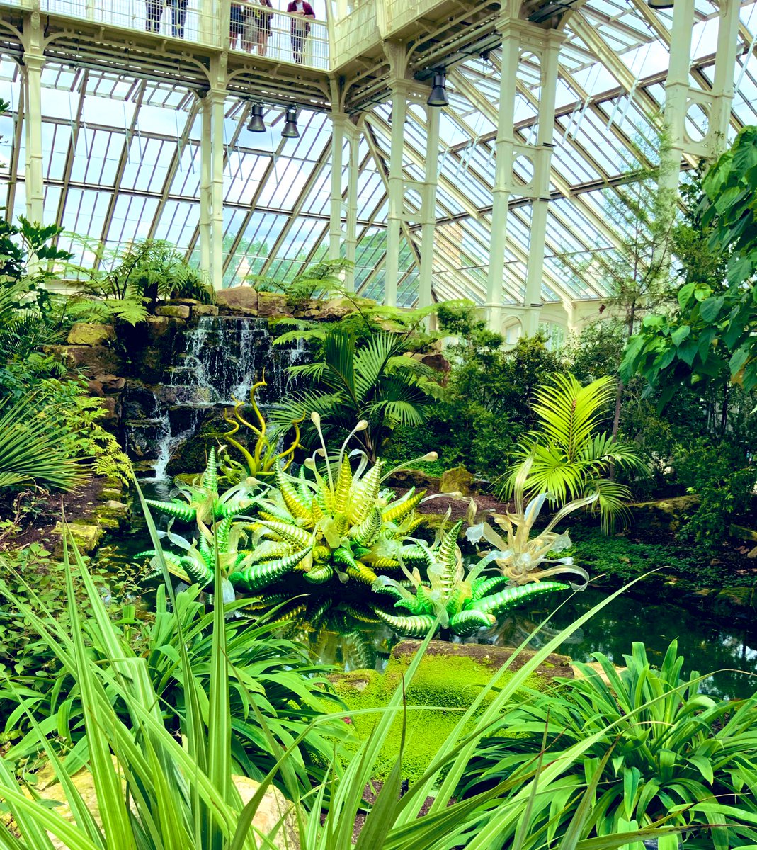 世界遺産のKew Gardens。「ふーん庭か」くらいに思っていたら異世界感が凄くて物凄く楽しかったので見て〜! 