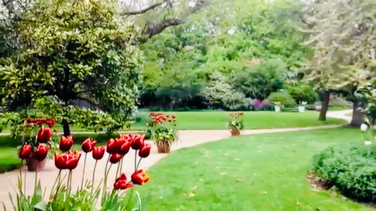 Cat3Sin's tweet photo. Lovely day yesterday exploring West London’s secret gardens! #OGSW2019 @OpenSquares https://t.co/xNQUFtHyHD