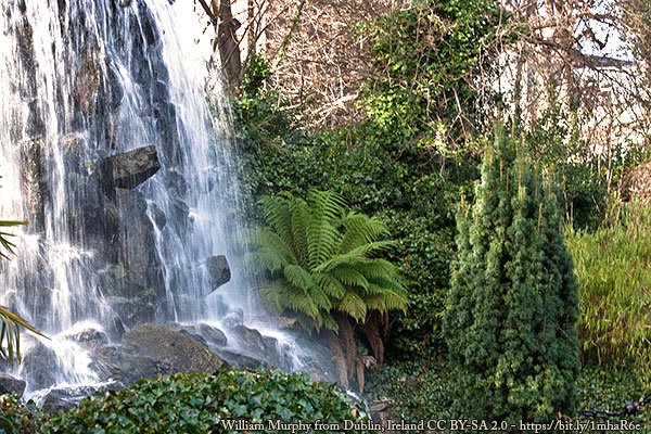 HogainPaddy's tweet photo. #LesserKnownIreland #Ireland #Irish #VisitIreland #IrelandsAncientEast #ExploreIreland - @ancienteastIRL

The Iveagh Gardens #Dublin a history dating back over three hundred years #AmazingIreland

Info
https://t.co/KuE58c0qrk
Video
https://t.co/KrgTtamMOD

#DiscoverIreland https://t.co/gFB0ddjWm3