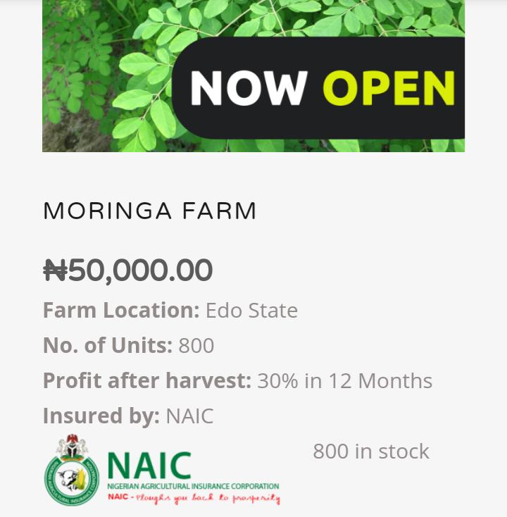 myfarmchain's tweet photo. https://t.co/yJy4IuwNL0
 Sponsor units of Moringa farm now and earn good profit after harvest. #myfarmchain #farmchain #farmsponsor #farming #farmersmarket #f #moringafarms #moringaoil #moringatea #moringapowder #organicfarming #agrictech #agricbiz #agric #p #poultryfarming https://t.co/SzMMIwjKJS