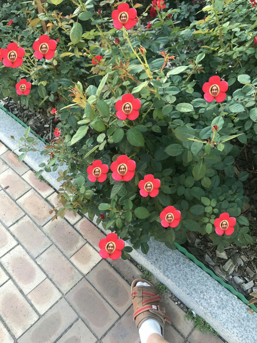 silverbell_1013's tweet photo. 떼샷 오늘 추가됐어 ㅋㅋㅋㅋㅋㅋㅋㅋㅋㅋㅋㅋㅋㅋㅋㅋㅋㅋㅋㅋㅌㅌㅌㅌㅌㅌㅋ https://t.co/LkVq1zVj5r