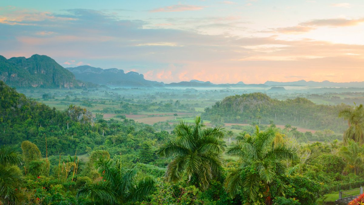 TUIDeutschland's tweet image. Wir sind definitv Team Sommerliebe ☀👙💦 - am liebsten 365 Tage im Jahr. Doch der Winter in Deutschland kann ganz schön ungemütlich werden. 🥶 Deshalb verraten wir euch auf dem #TUIBlog, wo ihr auch im Winter Sommer haben könnt ➡ tui.com/short/1lrJy
