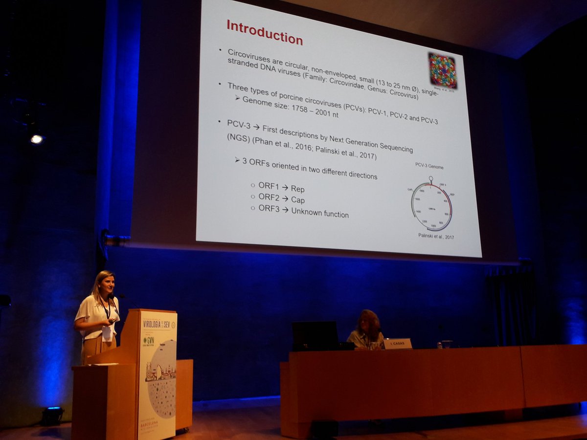 bohorquezalejo_'s tweet photo. Global presentation at the global virus network #SEVGVN2019 from our favorite brazilian Vivi Saporiti #PCV3 https://t.co/DvG0CVv3GA