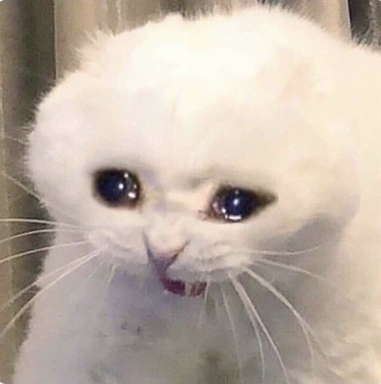 mairaPoncee's tweet image. Soñé que 1D venía al anfiteatro de VM y que le decía a todo el mundo que me iba a verlos. #DirectionerProblems