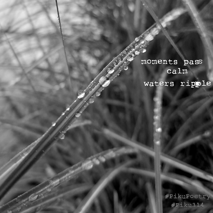 piku_poetry_314's tweet photo. 🥧
.
moments pass
calm
waters ripple
.
#poetheme 294 #micropoetry #prompt #moments #PikuPoetry #Piku314 #PikuVerse #BeatPoetry #tinypoem #8syllables #VoMoPo #Binkstuff #JustDelmarvalous #shahai314 #haiku #haiga #senryu #shahai #piehai #wordplay #pie #pi #shortverse #poetry https://t.co/FYkP7gKUEl
