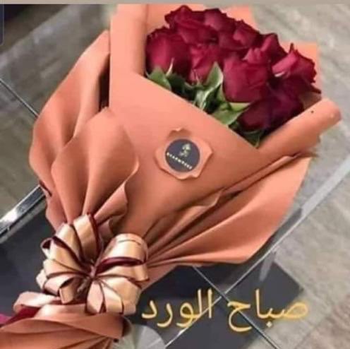 <a href="/posoltan/">Posoltan</a> يسعد صباحك 🌸🌺🌷😘