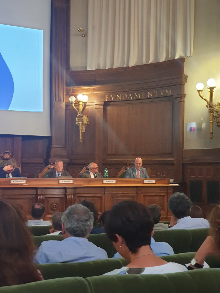 InappGov's tweet photo. In corso la tavola rotonda del convegno @istat_it su ruolo #microdati nella ricerca scientifica e valutazione politiche, per @inapp_org interviene il Presidente @StefanoSacchi71
#10giugno https://t.co/mio9SuZsqo