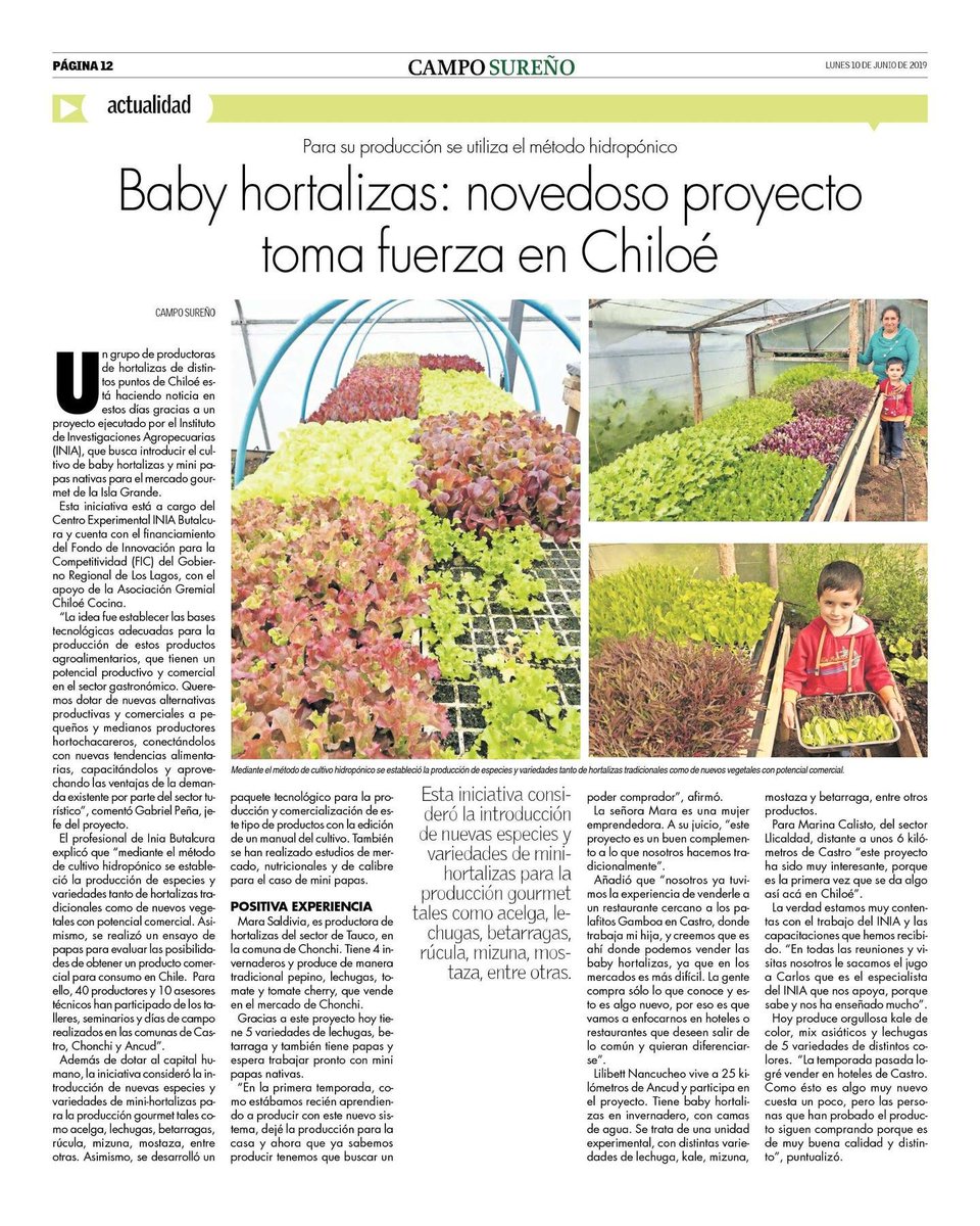 INIA Remehue (@inia_remehue) on Twitter photo Hoy en la revista <a href="/camposureno/">Revista Campo Sureño</a> los resultados del proyecto de producción de baby hortalizas y mini papas nativas ejecutado por <a href="/INIA_Chiloe/">INIA Chiloé</a> con apoyo del Gobierno Regional de Los Lagos 👉bit.ly/2MBaQhz Hoy en la revista <a href="/camposureno/">Revista Campo Sureño</a> los resultados del proyecto de producción de baby hortalizas y mini papas nativas ejecutado por <a href="/INIA_Chiloe/">INIA Chiloé</a> con apoyo del Gobierno Regional de Los Lagos 👉bit.ly/2MBaQhz