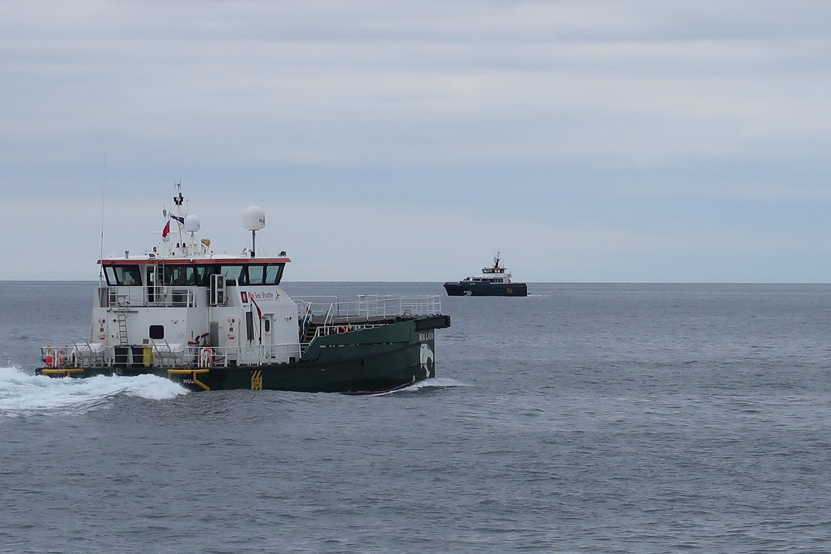 Lion &amp; Lynx on ⁦@beatricewind⁩ ⁦<a href="/Rixseashuttle/">Rix Sea Shuttle</a>⁩