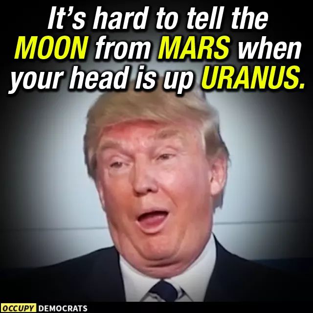 ThugLifeSocial's tweet photo. @realDonaldTrump https://t.co/iYMsZDnUKu